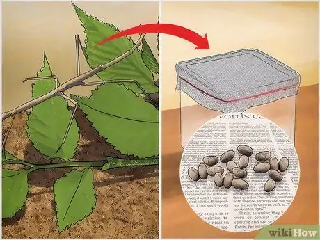 Позаботьтесь об ошибках прилипания Шаг 9