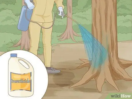 Разберитесь с пятнистыми фонарями Шаг 10