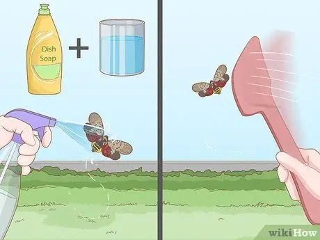 Разберитесь с пятнистыми фонарями Шаг 11