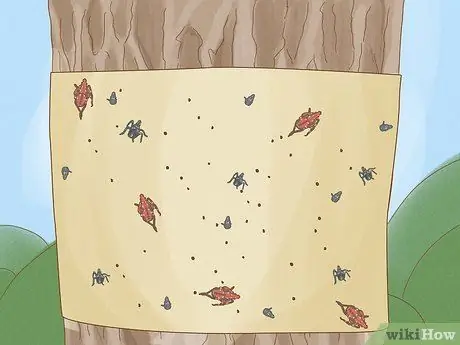 Разберитесь с пятнистыми фонарями Шаг 8