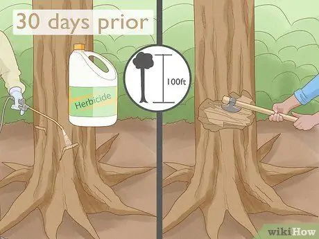 Разберитесь с пятнистыми фонарями Шаг 9