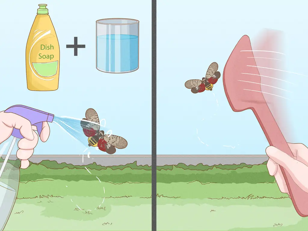 Как бороться с пятнистыми фонарями: 11 шагов (с изображениями)