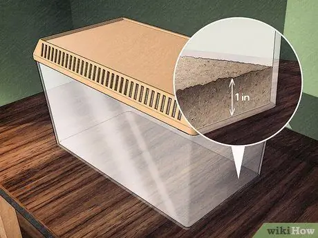 Позаботьтесь о Inchworms Шаг 1