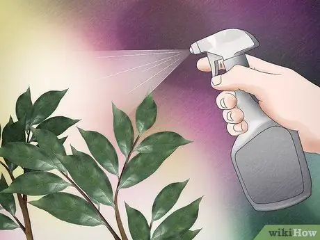 Позаботьтесь о Inchworms Шаг 12