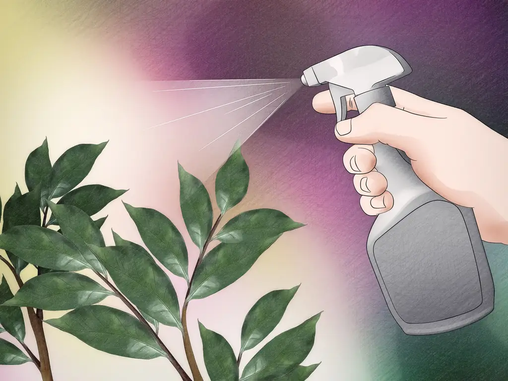 3 способа избавиться от насекомых-червей