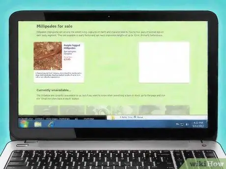 Уход за гигантскими африканскими многоножками Шаг 1