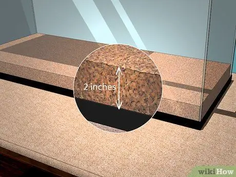 Уход за синими жуками, симулирующими смерть, Шаг 2