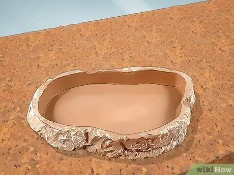 Уход за синими жуками, симулирующими смерть, Шаг 4