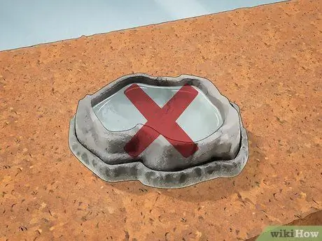 Уход за синими жуками, симулирующими смерть, Шаг 5