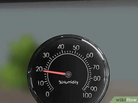 Уход за синими жуками, симулирующими смерть, Шаг 8