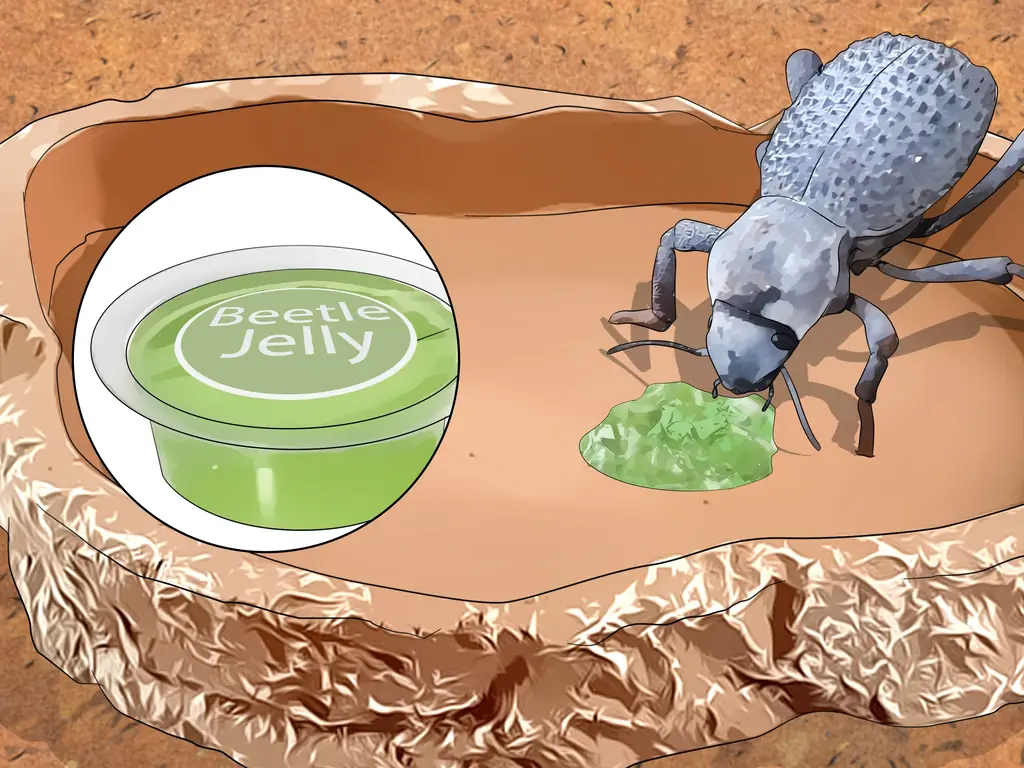 3 способа ухода за жуками, симулирующими синюю смерть