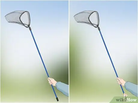 Поймать стрекоз Шаг 2