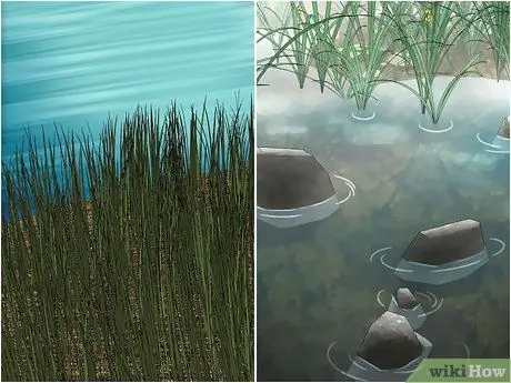 Поймать стрекоз Шаг 3