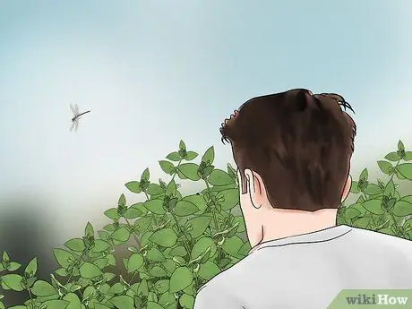 Поймать стрекоз Шаг 6