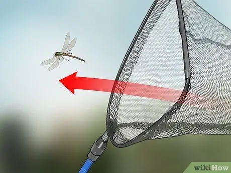 Поймать стрекоз Шаг 7