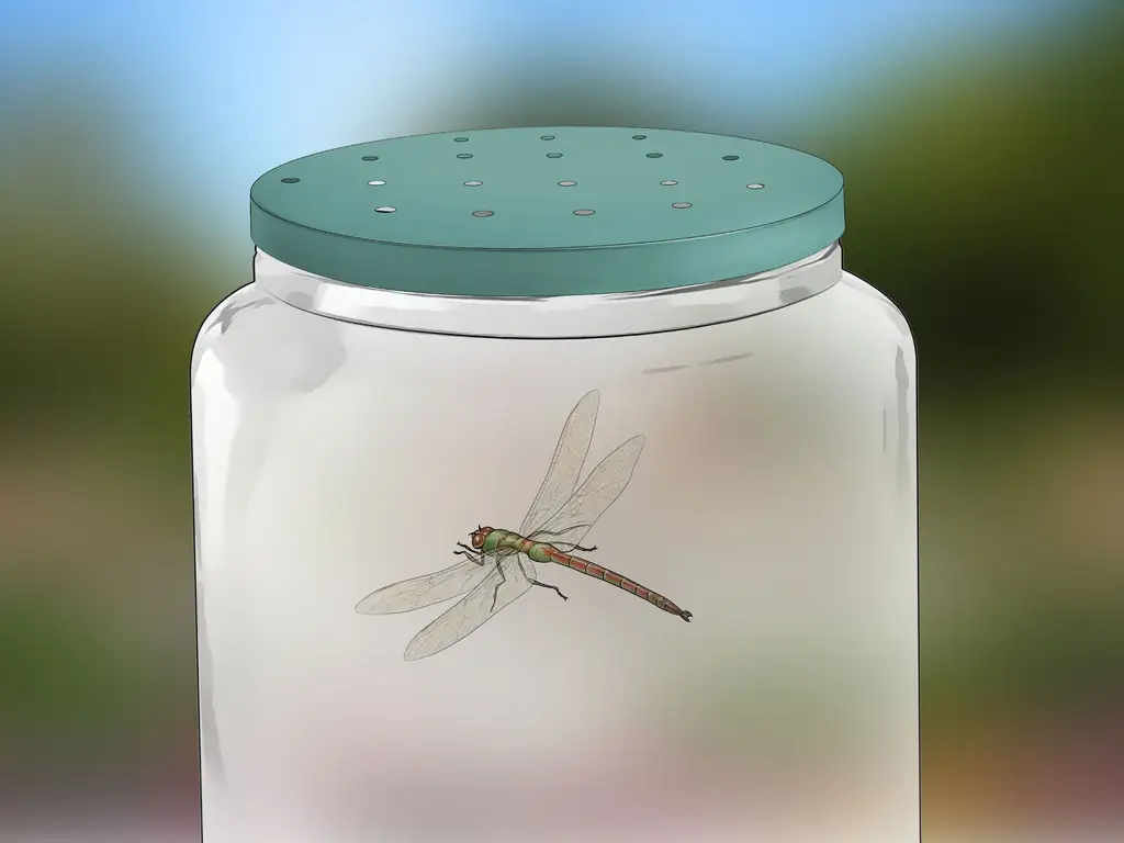 Как поймать стрекоз: 8 шагов (с картинками)