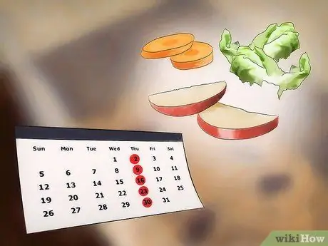 Порода шипящих тараканов Шаг 10