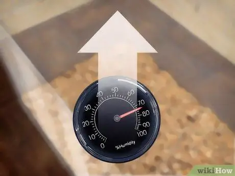 Порода шипящих тараканов, шаг 5