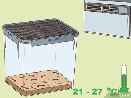 Уход от супер червей Шаг 4