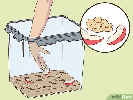 Уход от супер червей Шаг 5