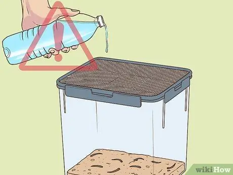 Уход от супер червей Шаг 6