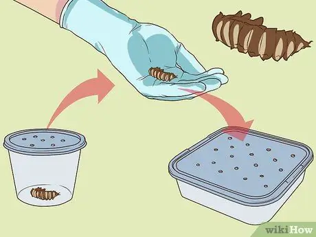 Уход от супер червей Шаг 8