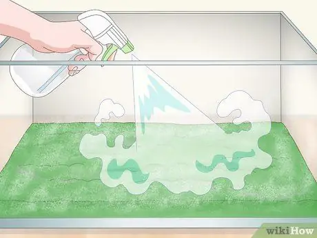 Уход за мадагаскарским шипящим тараканом Шаг 3