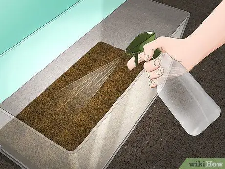 Поймать Isopod Шаг 10