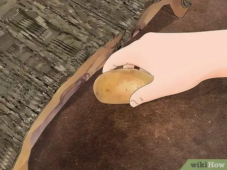 Поймать Isopod Шаг 6