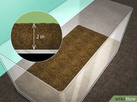 Поймать Isopod Шаг 9