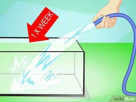 Создание среды обитания для многоножек Шаг 10