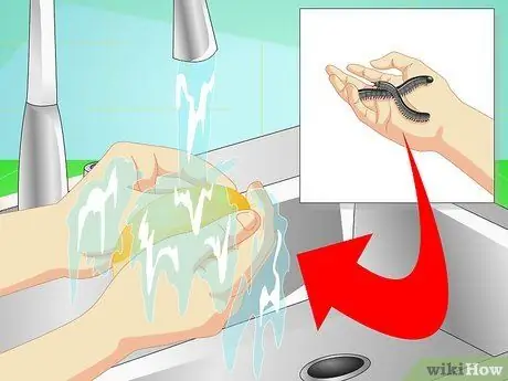 Сделайте среду обитания для многоножек Шаг 16