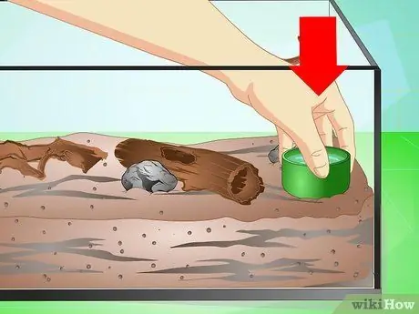 Создание среды обитания для многоножек Шаг 4