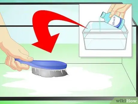 Сделайте среду обитания для многоножек Шаг 7