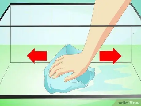 Сделайте среду обитания для многоножек Шаг 9