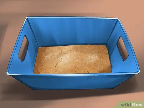 Найдите муравейника и ухаживайте за ним Шаг 2