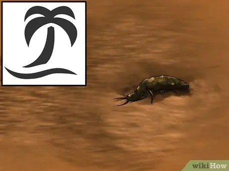 Найдите муравейника и ухаживайте за ним Шаг 4