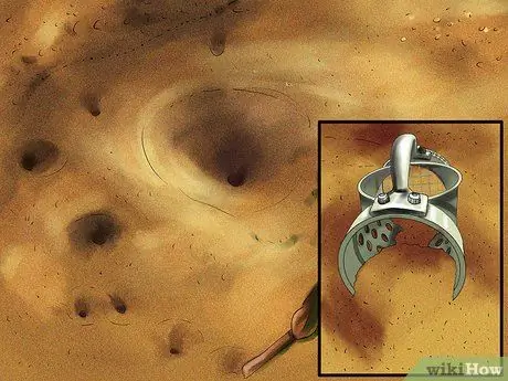 Найдите муравейника и ухаживайте за ним Шаг 5