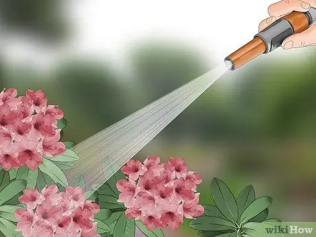 Борьба с кружевными ошибками в цветочном саду Шаг 1