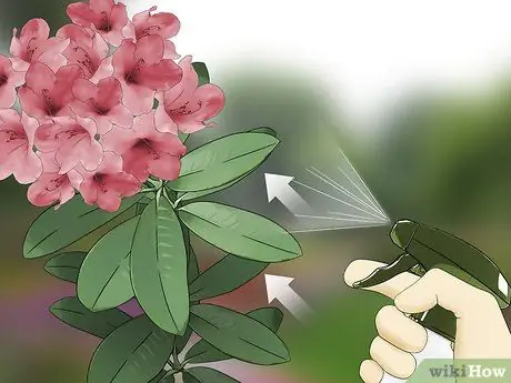 Борьба с кружевными ошибками в цветочном саду Шаг 2