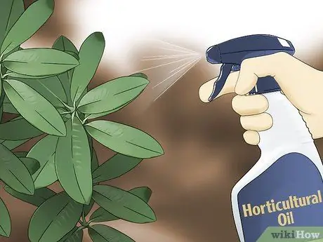 Борьба с кружевными ошибками в цветочном саду Шаг 3