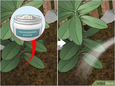 Борьба с кружевными ошибками в цветочном саду Шаг 4