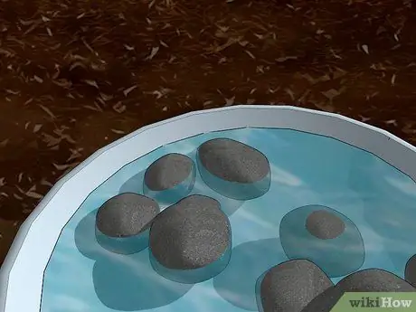 Привлечение жуков-убийц, шаг 2