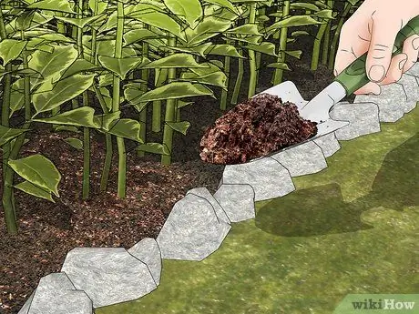 Привлечение жуков-убийц, шаг 3