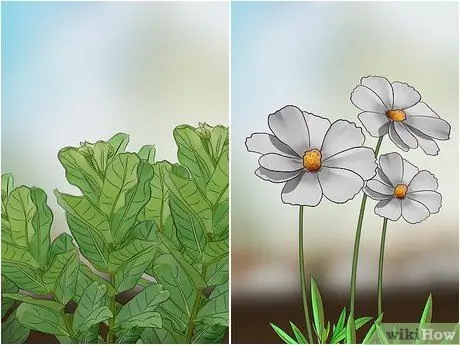 Привлечение жуков-убийц, шаг 7