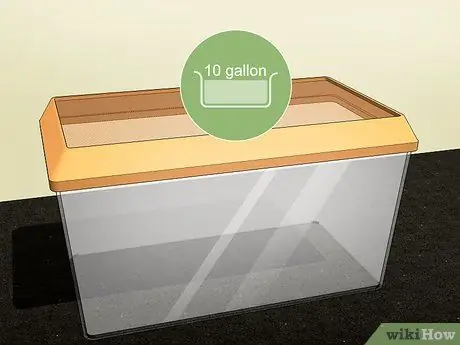 Создайте домик для шипящих тараканов, шаг 1