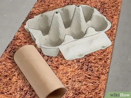 Создайте домик для шипящих тараканов, шаг 3