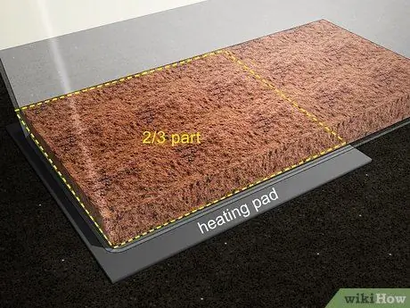 Создайте домик для шипящих тараканов Шаг 4