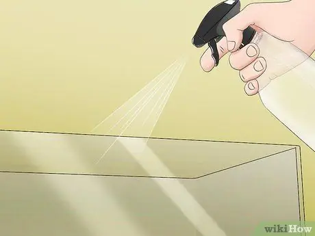 Создайте домик для шипящих тараканов Шаг 6