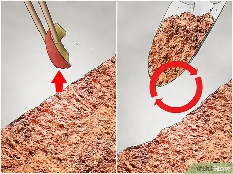 Создайте домик для шипящих тараканов Шаг 9